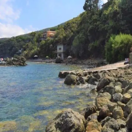 Cotetonda - Ilvia Marciana Marina (Isola d'Elba)